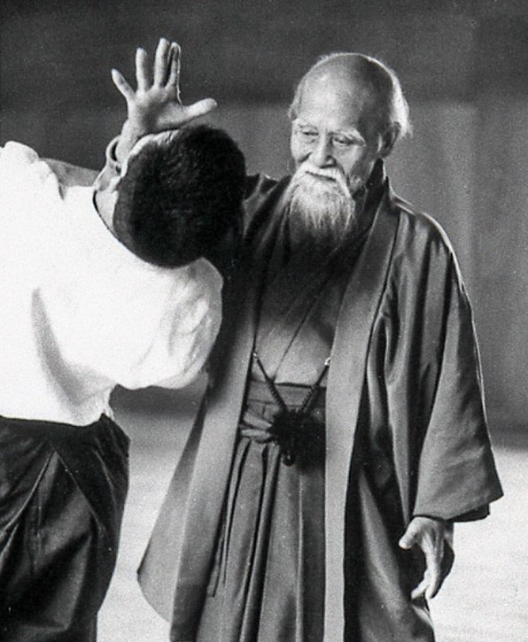 Aikido Training